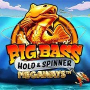 Обложка игры Big Bass Hold & Spinner